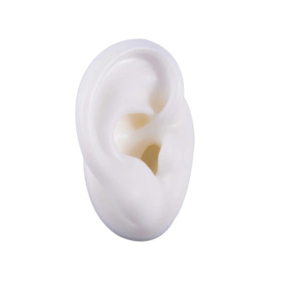 Soft Silicone Ear Model Display Stand – Tattoo Practice & Body Piercing Jewelry Holder with Acrylic Earring Display Kit for Training & Showcase