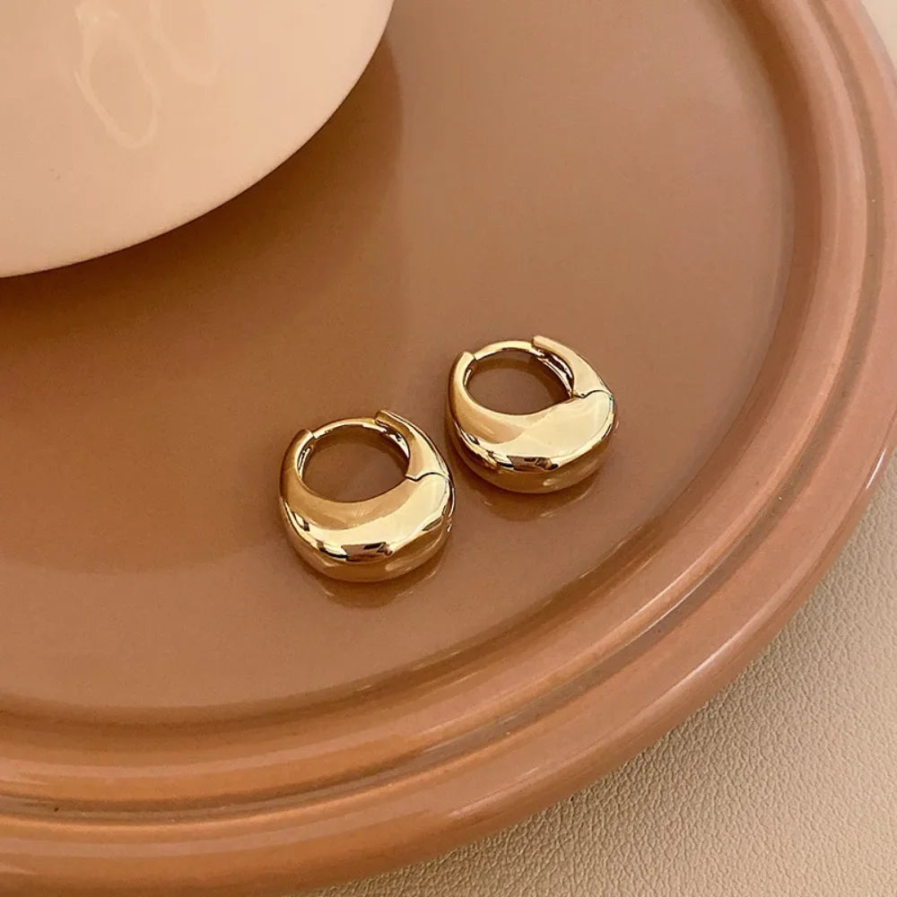 Stainless Steel Chunky Hoop Earrings – Smooth Round Statement Hoops for Women & Girls, Punk Fashion Jewelry
