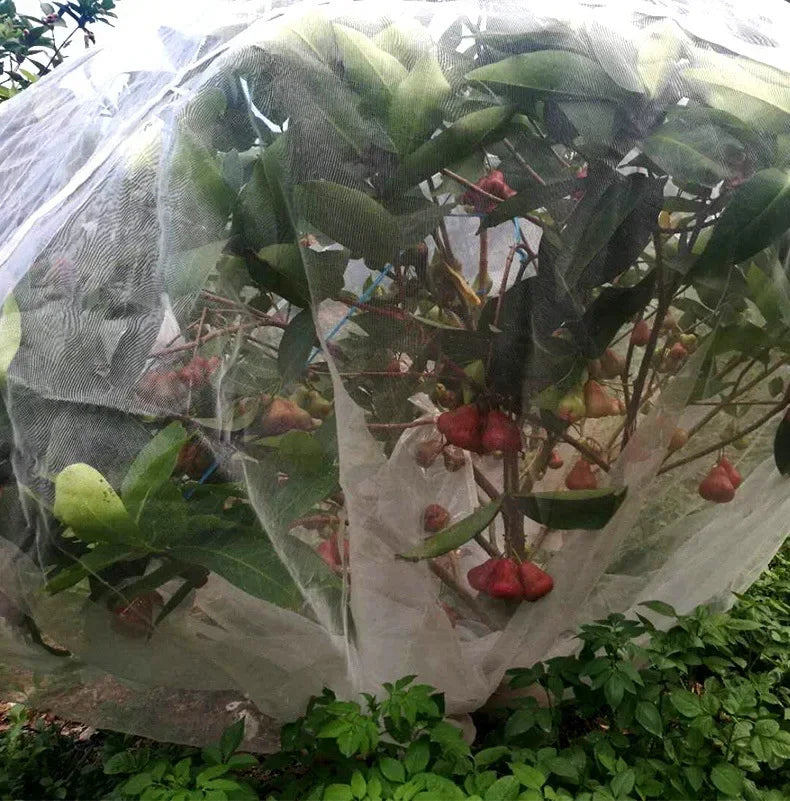Garden Mesh Screen Barrier – Reusable Protective Cover for Flowers, Crops, Greenhouse, Bird & Insect Protection