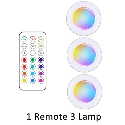 48160519618867