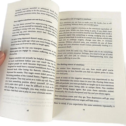 Master Your Emotions by Thibaut Meurisse – Overcome Negativity & Better Manage Your Feelings, English Original Novel