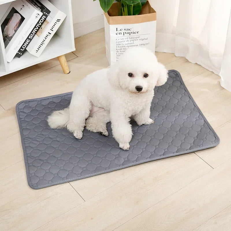 Reusable Dog Pee Pad Blanket – Absorbent Washable Puppy Training Mat & Pet Bed, Urine Protector for Car Seat, Pet Supplies