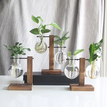 Glass Bulb Planter Vase - Wooden Stand Hydroponic Desktop Decor
