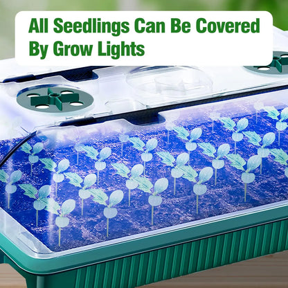 Seed Starter Trays with High Dome Germination Kit - 2 Packs, 80 Cells, 4 LED Grow Lights, Smart Timer & 3 Modes for Home Garden