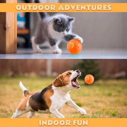 Smart Gravity Electric Bouncing Pet Ball Toy for Dogs and Cats – Interactive Automatic Rolling Amusement Toy for Pets