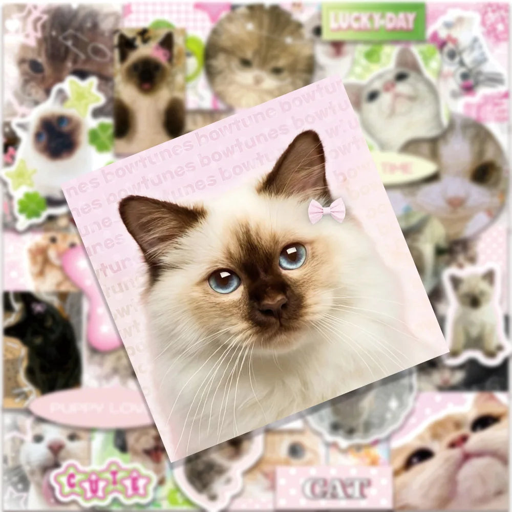 50PCS Retro Cat Graffiti Stickers - Cute Cartoon Waterproof Decals for Luggage, Phones, Guitars, and Scrapbooks