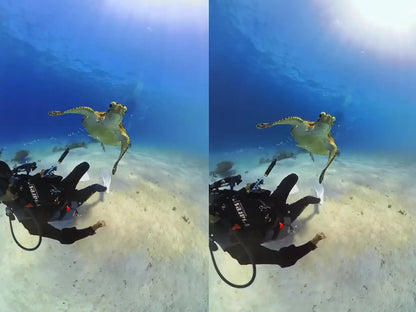 Dive Case for Insta360 X4 – Waterproof Housing, Invisible Diving Case, 50M Underwater Dive Shell Accessories