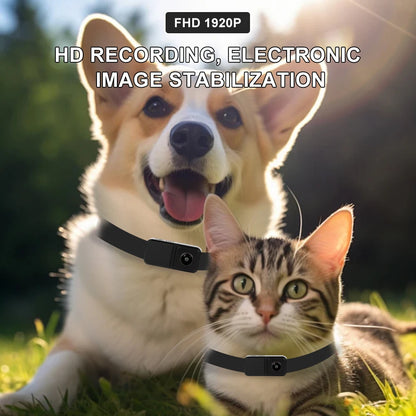 1080P Pet Collar Camera - Wireless Mini Video Recorder for Cats & Dogs, No WiFi Needed
