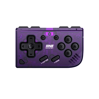IINE Mini Retro Ananke Controller – Turbo Function, Interchangeable Joystick & D-Pad, Multi-Platform Support, ZL & ZR Buttons