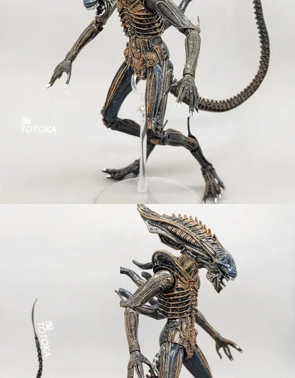 NECA Xenomorph Alien vs. Predator Action Figure — Fully Articulated Collectible with Movable Joints, Cool Toy & Gift