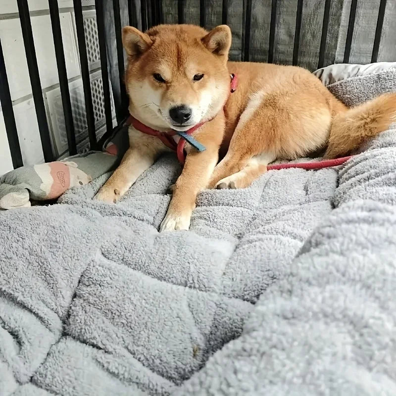 Extra-Large Plush Pet Bed — Super Soft Thick Polyester Dog & Cat Sofa, House, and Cage Mat