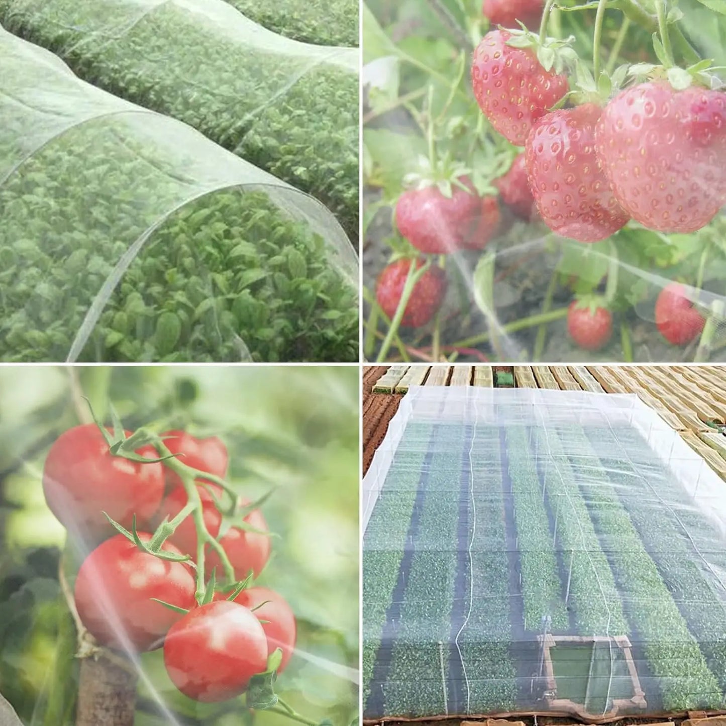 Garden Insect Protection Net – Plant & Vegetable Care Cover for Tomato, Pepper, Fruit, Pest & Bird Control