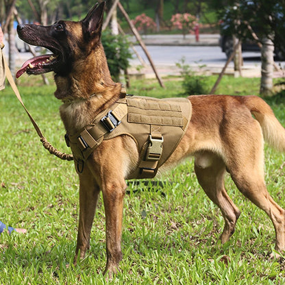 Large Dog Harness & Leash Set — Training & Walking Vest for German Shepherd, Malinois