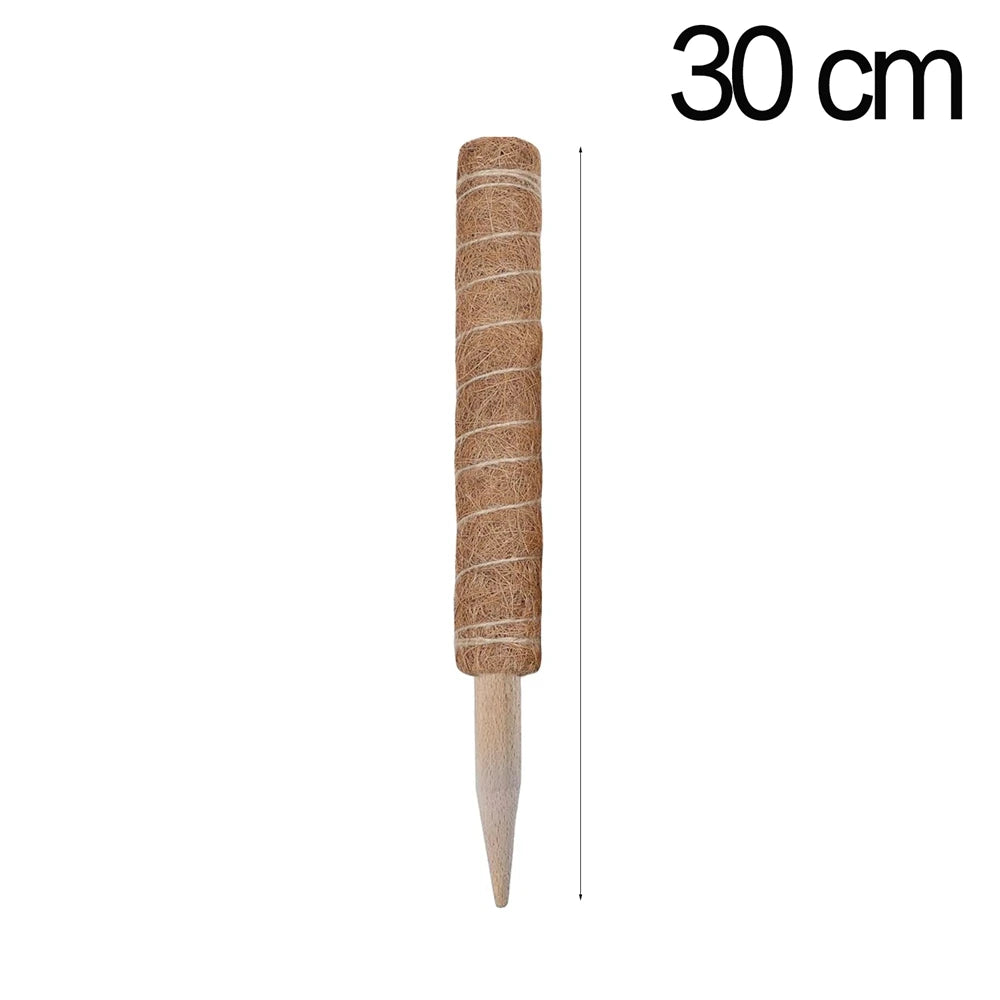48554997678387
