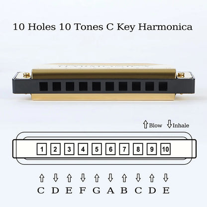 10-Hole C Diatonic Harmonica - Phosphor Bronze Beginner Mouth Organ with Case Kit