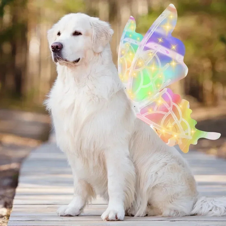 Electric Luminous Butterfly Wings Toy – Fairy Back Accessory for Dogs & Pets