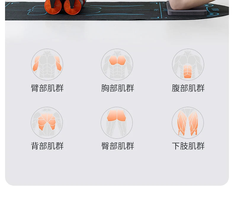 Abdominal Wheel with Automatic Rebound – Four Wheels & Six-Elbow Support for Core Training