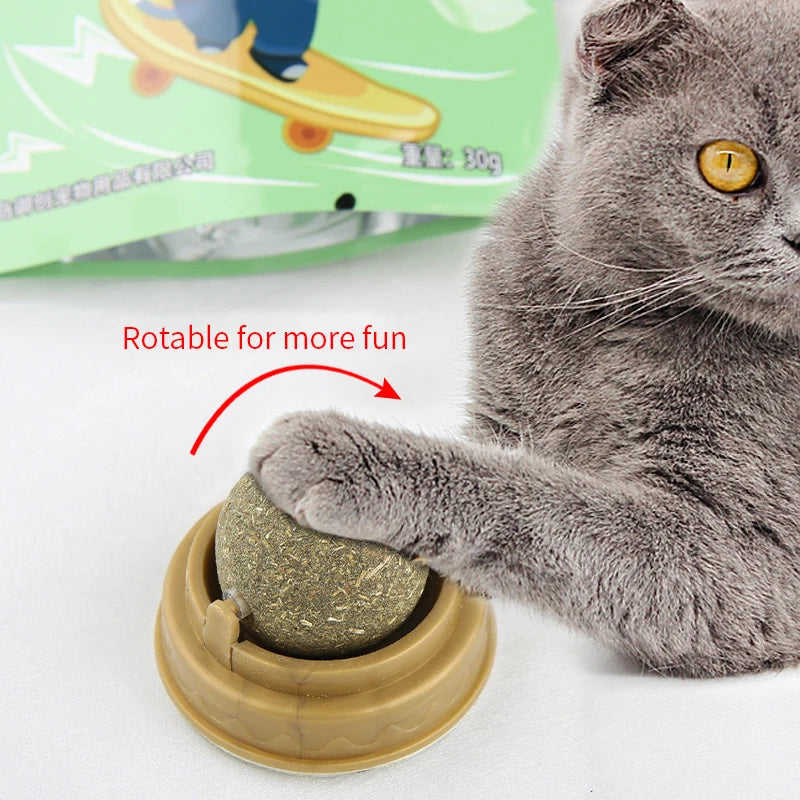 Catnip Wall Stick-on Ball Toy | Natural Scratcher Treats for Cats | Promotes Digestion & Healthy Play | Cat Grass Snack