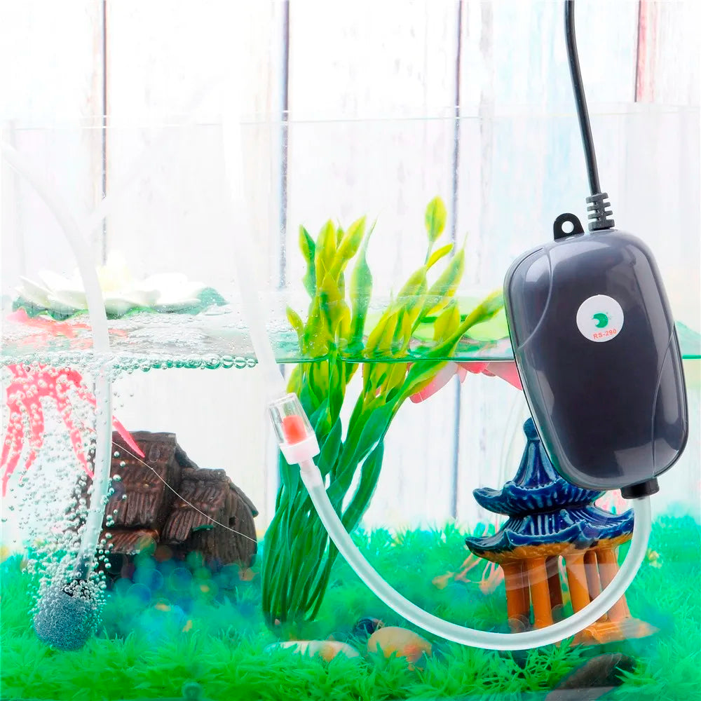Mini Aquarium Air Pump - Single/Double Outlet Compressor with Check Valve Tube for Fish Tanks - 220V 3W/5W