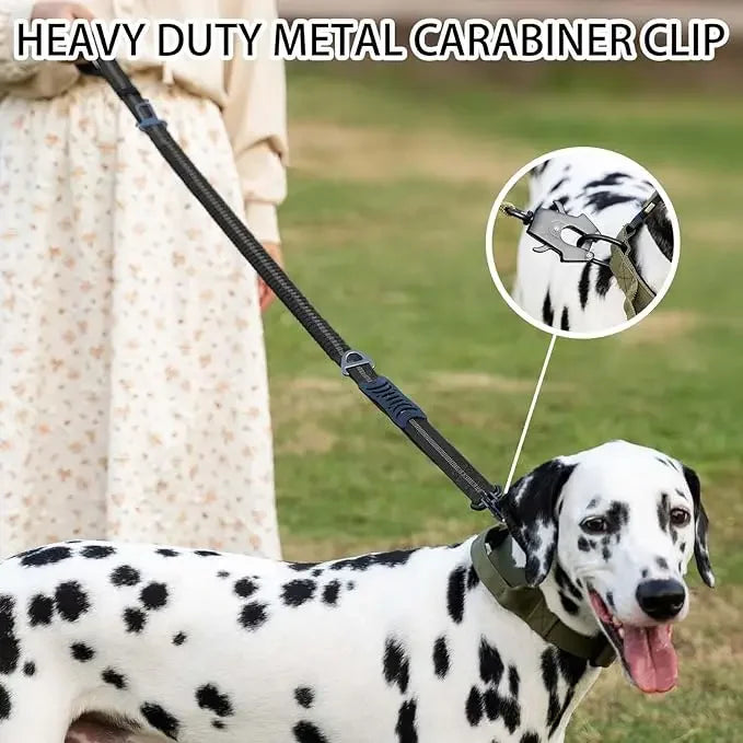 Reflective Shock-Absorbing Dog Leash – Heavy-Duty Tactical Bungee Leash with Car Seatbelt for Large Dogs, No-Pull Pet Leash