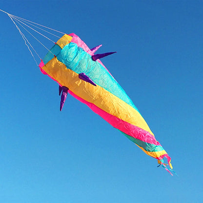 Large Decorative Show Kite - Professional Outdoor Wind Kite with Butterfly Snake Koi Design