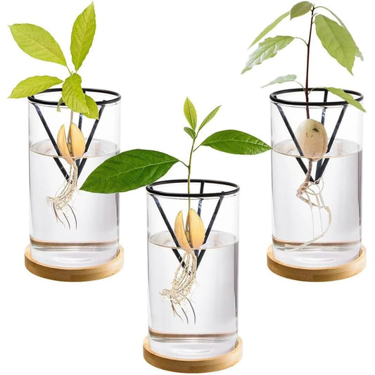 Hydroponic Avocado Tree Growing Kit – Glass Seed Vase with Bamboo Triangle Stand for Easy Sprouting Indoor Plant Pot