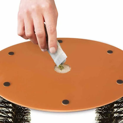 Cat Toy Arch - Self-Grooming Massage Brush with Scratching Pad, Interactive Toy for Cats