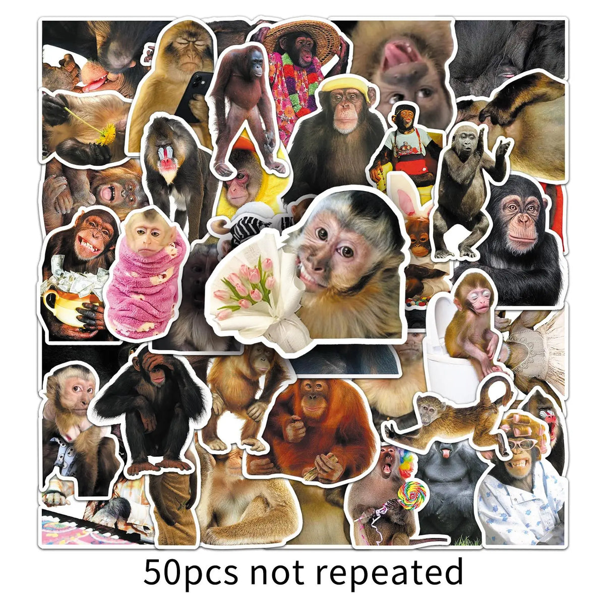 50-Piece Funny Monkey & Orangutan Stickers - Waterproof Cartoon Doodle Decals for Notebooks, Helmets, Suitcases, Motorcycles, and Fridges