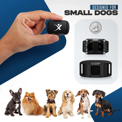 Touch-Slide Shock Training Collar for Small Dogs 5–15 lbs – Adjustable Vibration & Shock Correction Pet Behavior Device