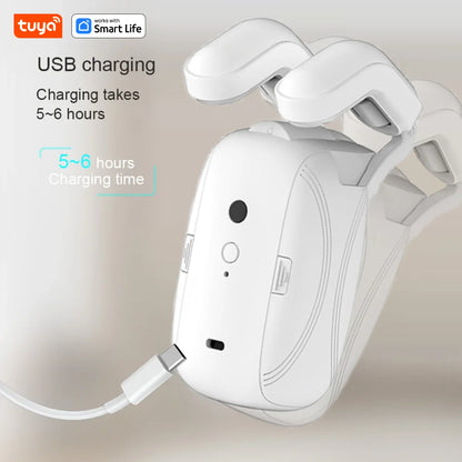 Tuya Smart Curtain Robot Motor — Roman Rod Track, App & Remote Remote Control, Single/Double, Works with Tuya Gateway