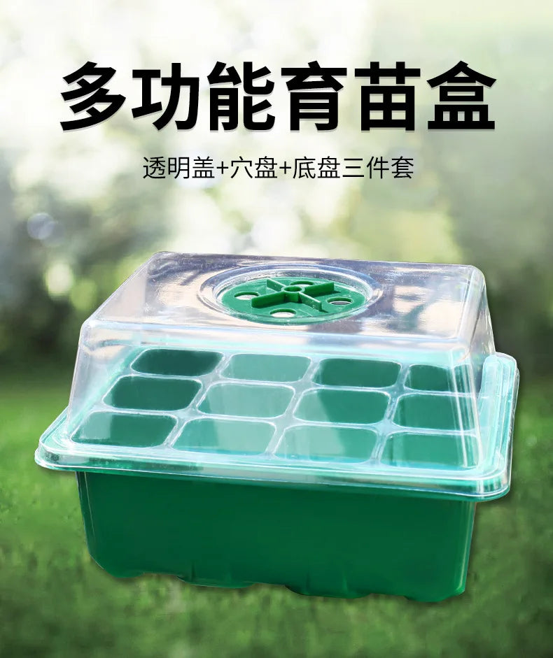 12-Well Plastic Seedling Tray | Insulated Pot for Succulent & Seed Sowing