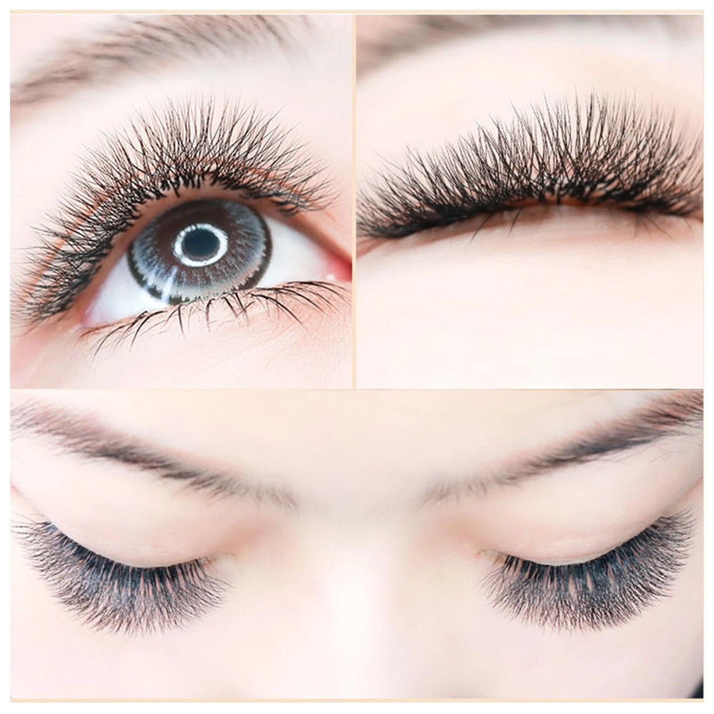 4D-5D W Eyelash Extension – Fluffy Volume Mink & Faux Mink Premade Fans, Dolly Hybrid 3D Lashes
