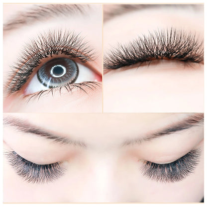 4D-5D W Eyelash Extension – Fluffy Volume Mink & Faux Mink Premade Fans, Dolly Hybrid 3D Lashes