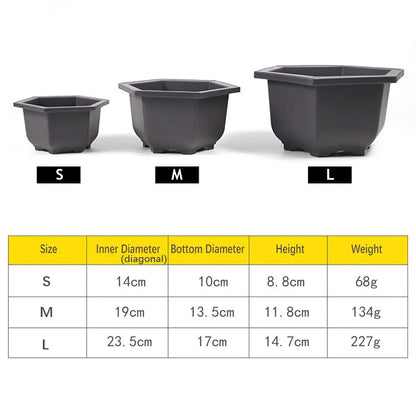 Hexagon Flower Pots – Succulent Box Planter, Plant Container for Home & Office Decor