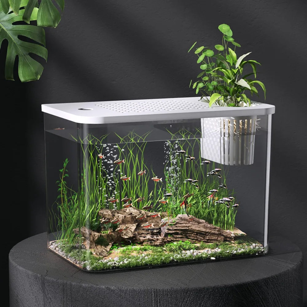 Transparent PET+ABS Fish Tank with Lid – Drop-Resistant Hydroponic Turtle Aquarium for Home