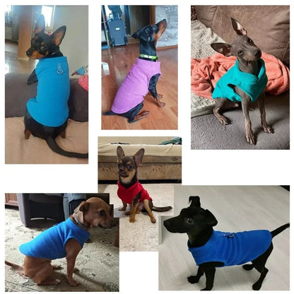 Warm Fleece Dog Jacket with D-Ring - Pet Vest for Small Dogs and Cats - French Bulldog and Chihuahua Costumes