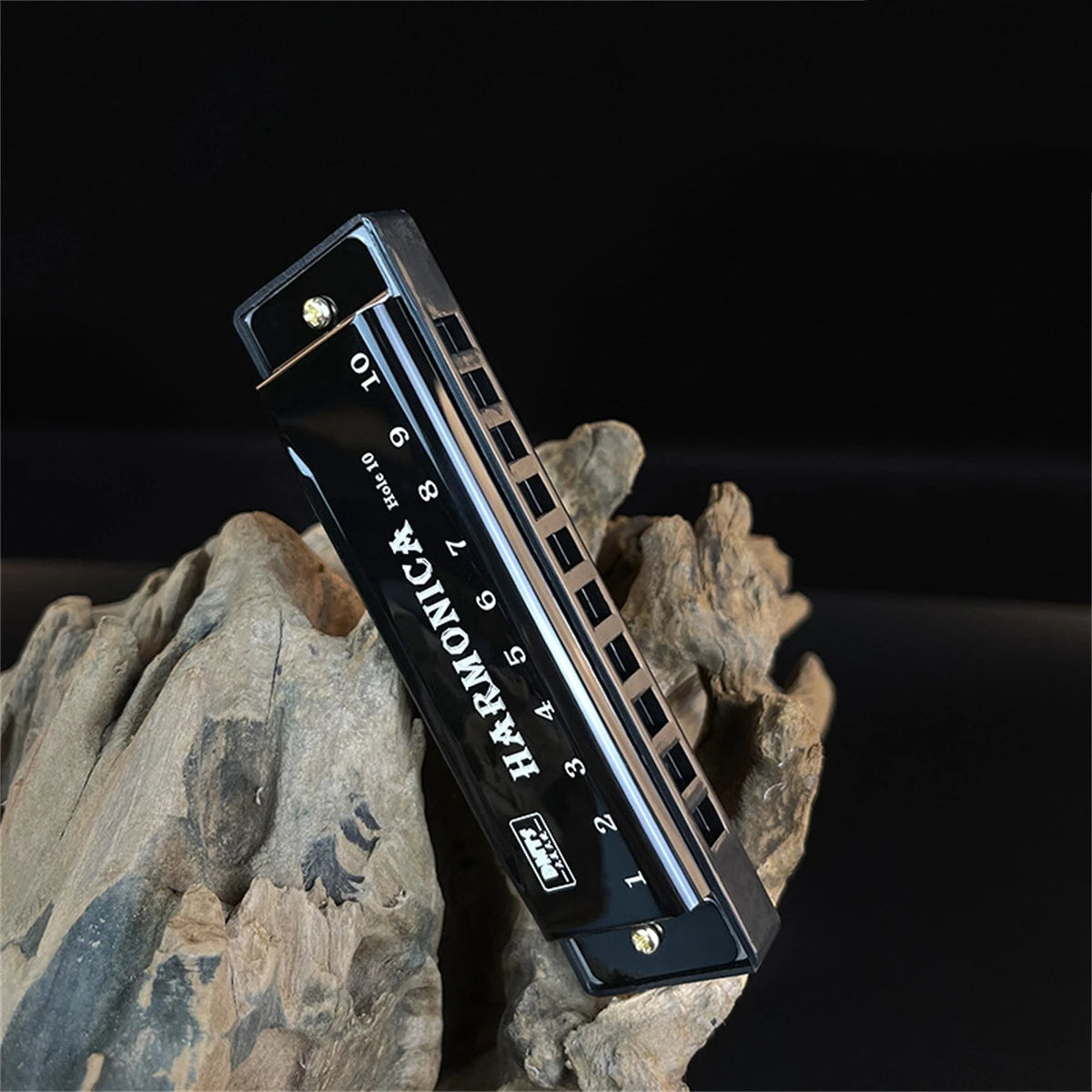 Harmonica Key of C - 10 Hole Diatonic for Beginners, Students & Kids with Case, Gift Ready