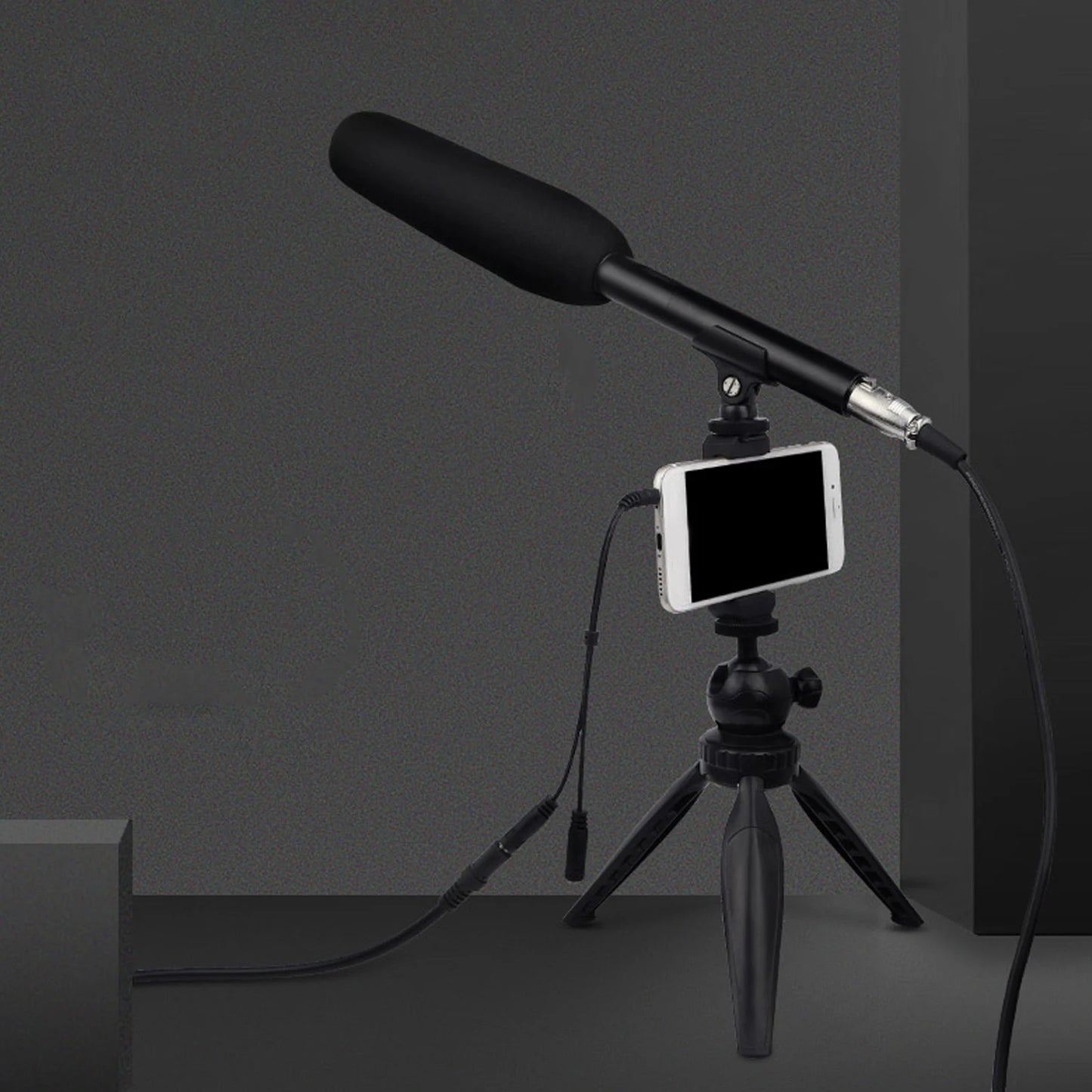 Professional XLR Shotgun Condenser Microphone - Cardioid Mini Interview Mic for TV News, Video Recording & Broadcasting
