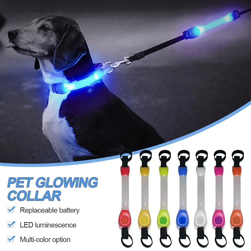 Pet LED Safety Traction Collar – Waterproof Anti-Loss Collar with Multi-Color Flashing Light Pendant for Outdoor Use