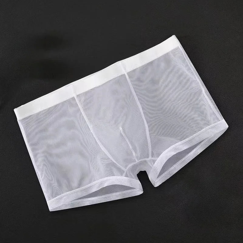Transparent Ice Silk Men's Boxers - Low Waist See-Through Bulge Underwear