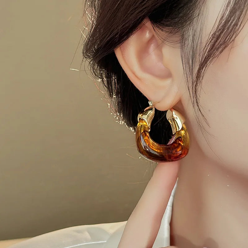 Retro Brown Resin U-Shaped Hoop Earrings — European & American Geometric Earrings for Women, Simple Fashion Jewelry Gift