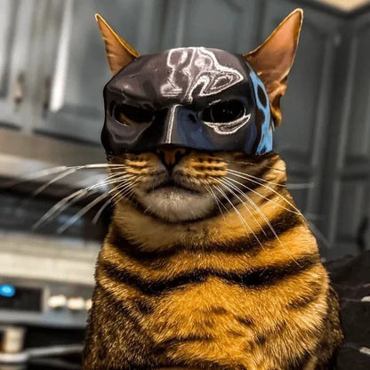 Cat Avenger Bat Mask - 3D Printed Halloween Cosplay Hat and Pet Photo Prop