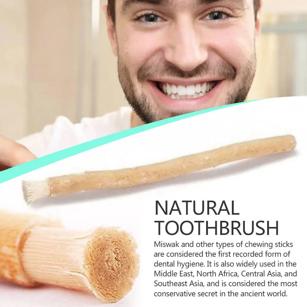 Natural Miswak Siwak Toothbrush - Traditional Arak Stick Manual Teeth Cleaning & Travel Oral Care Tool
