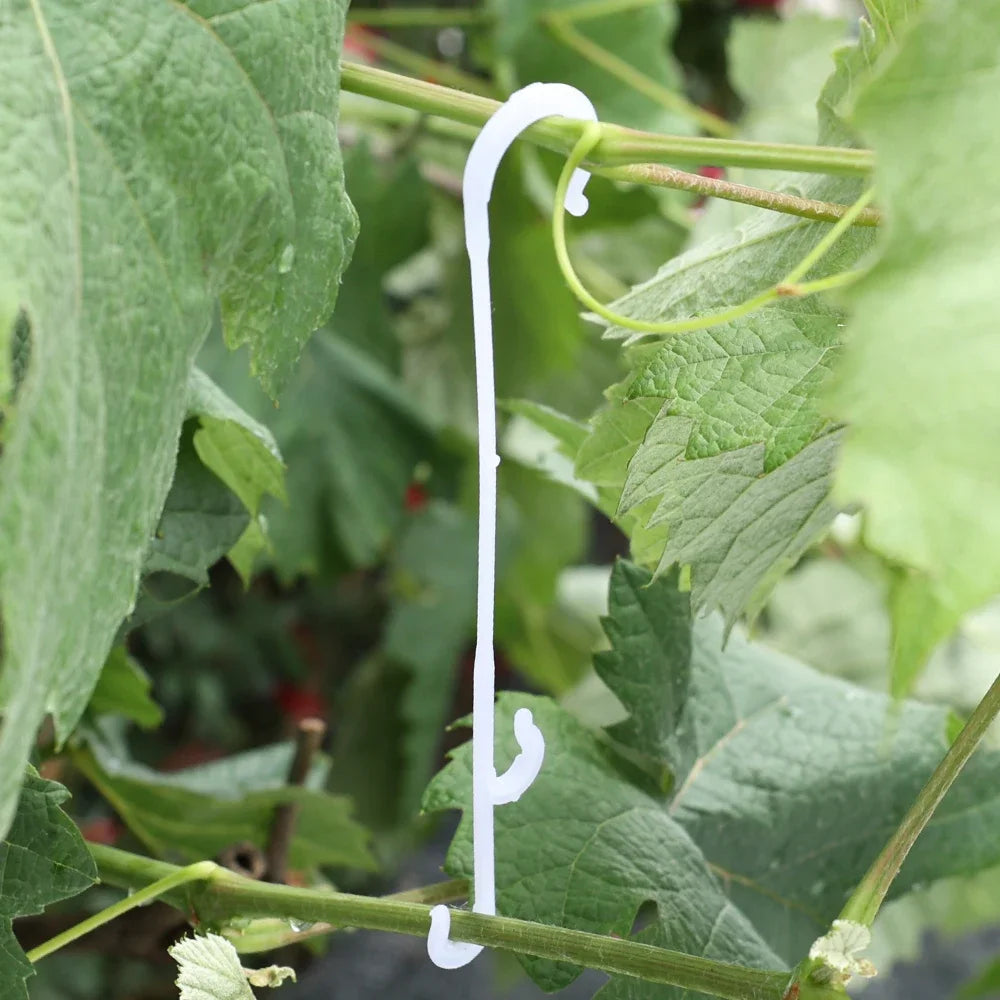 Plant Tomato Support J Hooks - Reusable Trellis Buckle Clips for Vegetables & Climbing Vines (1–100 PCS)