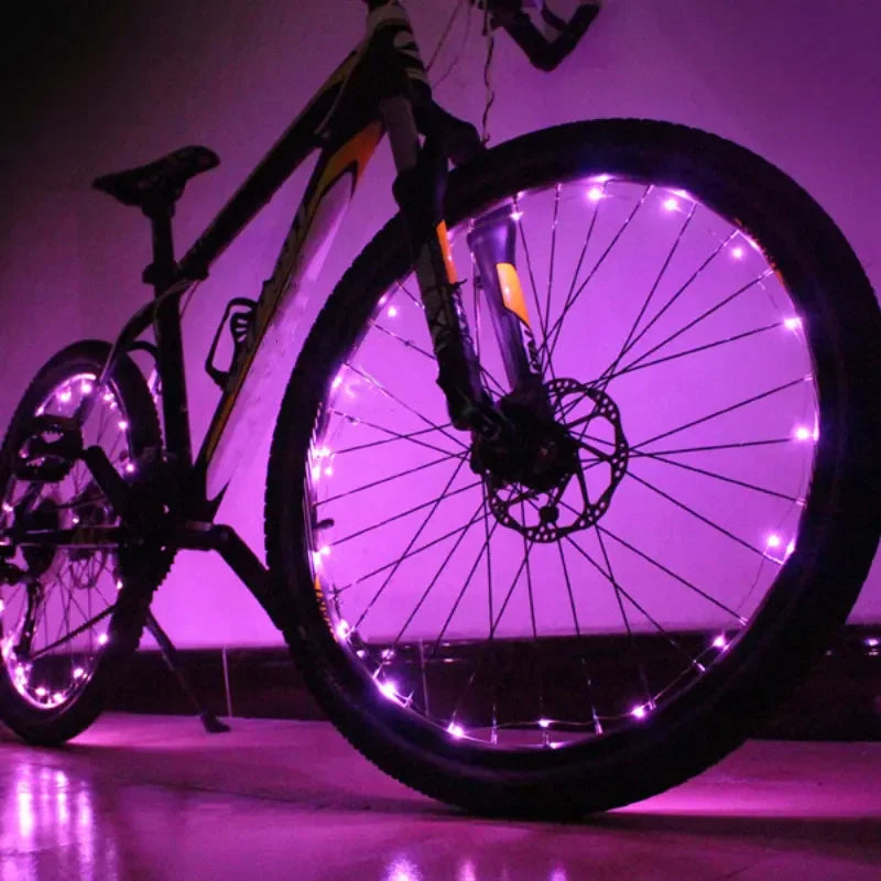 50119982645555