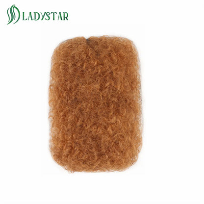 Brazilian Remy Afro Kinky Curly Human Hair for Braiding & Dreadlocks – 30g Natural Color Bulk Hair Extension (No Weft, 1 Bundle)