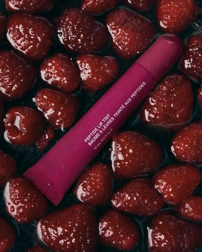 Makeup Cheek Blush Cream Stick & Lip Gloss – iPhone Case for iPhone, Toast, Salty Tan, Raspberry & Espresso Lipstick