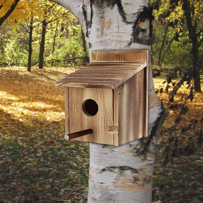 Wooden Bird House Nest Box - Warm Sheltered Garden Shelter with Viewing Window for Small Birds, Patio & Outdoor Decor