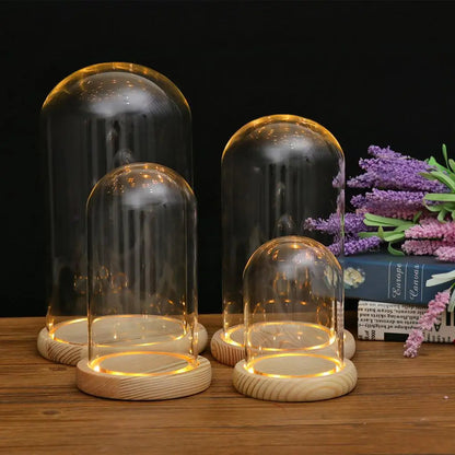 Glass Dome with Wooden Base & LED Light – Terrarium Vase, Flower Holder, Landscape Container for Bedroom Decor & Birthday Gifts