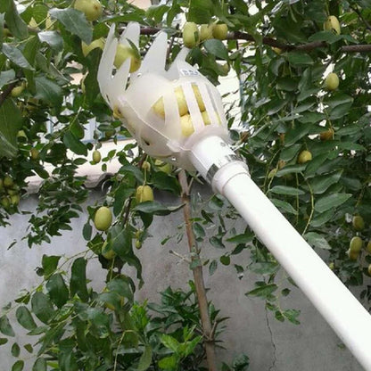 Multi-Color Garden Hand Fruit Picker | Plastic Picking Tool for Bayberry & Jujube Harvesting | Agrarische Fruit Catcher